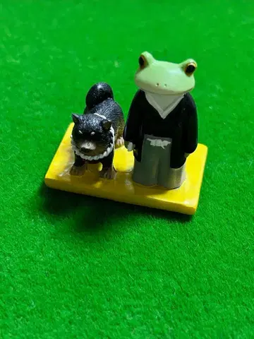 코포 개구리 시바견? 도사견? 설날