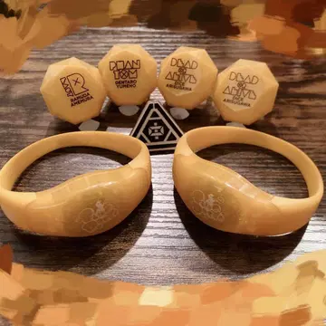 히프마이 뱅글 라이트 링 라이트 츄오구 핀 배지