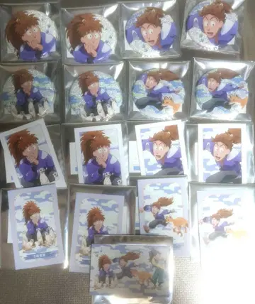 닌타마 란타로 토부 캔뱃지 카드 후와 하치야