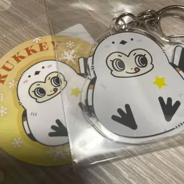 홋카이도 한정 메조 피아노 데이지 러버 시마연가 나루미야 팝업