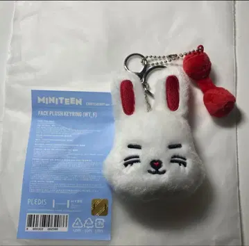 SEVENTEEN 미니틴 에스쿱스 키링