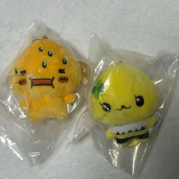 시즈쿠짱 가챠가챠 봉제 인형 아세오군 허니짱