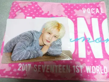 SEVENTEEN diamond edge 정한 굿즈