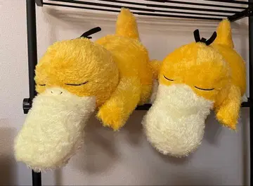 택 포함 새상품 메챠모후굿토 봉제 인형 코닥 BIG 2개