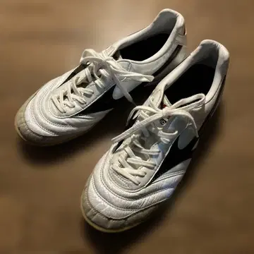 MIZUNO 모렐리아 IN 24.5cm