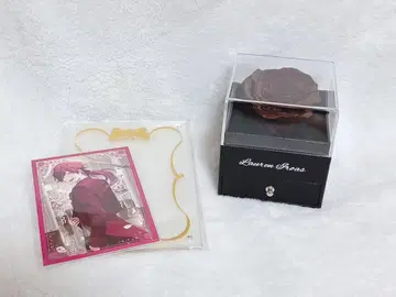 니지산지 로렌 이로아스 준브라이드 2024