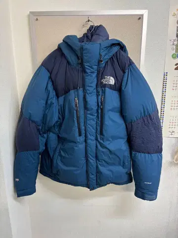 THE NORTH FACE 네이비 다운 자켓
