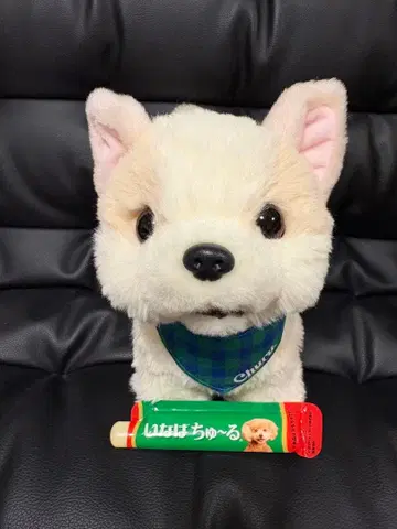 이와야 츄르 줄게! 치와말짱