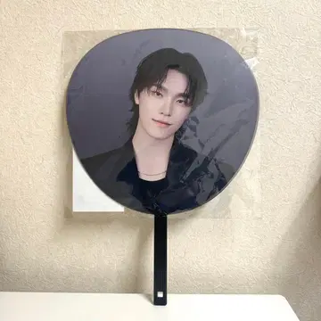 SEVENTEEN NEW DINO 세부치 세븐틴 부채 디노