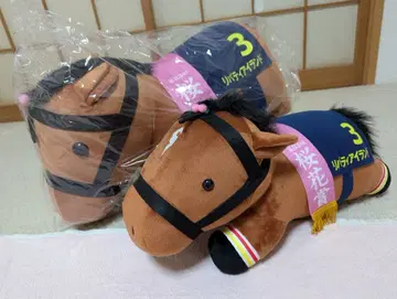 리디아 아일랜드 2세트