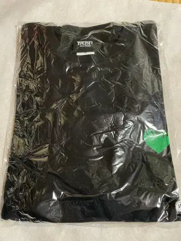 후지이 카제 모에요 롱티