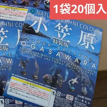 네이처 테크니컬러 오가사와라 특장판 1봉 20개입 거치대 포함