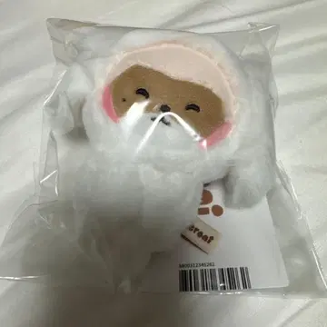 zeroni 봉제 인형 마그넷 사진 홀더 하니니 하오