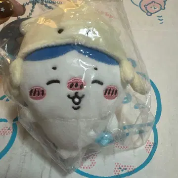 치이카와 수족관 이카시테루네 하치와레 마스코트