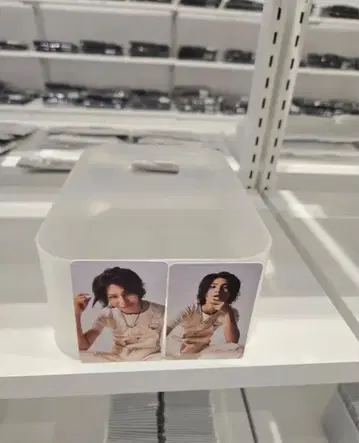 방콕 SnowMan 1st POP-UP 포토 카드 팩 D 라울