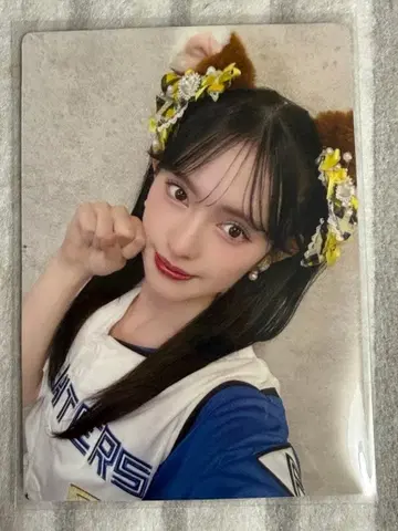 초 도키메키 선전부 스다 아키 파이터즈 트레이딩 카드