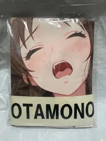 55537 거 아이돌 마스터 타치바나 아리스