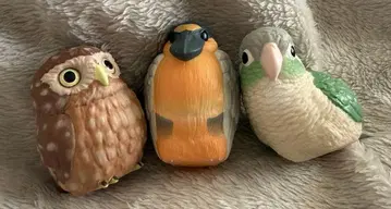 테노리 프렌즈 새 시리즈 3점 세트