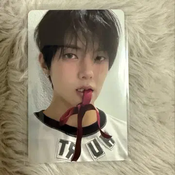 whib 이정 후디 트레이딩 카드 팬 콘서트