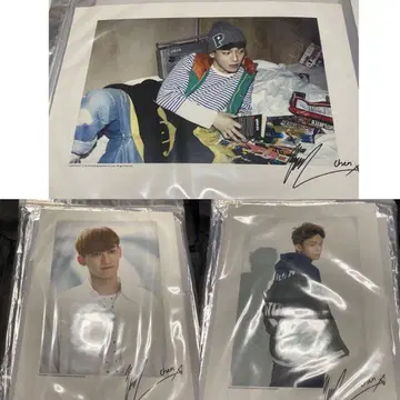 exo chen 첸 종대 공식 대형 포토 사진 세트