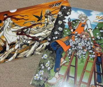 [ 10492 ] CLAMP 츠바사 클리어 파일 2점 1