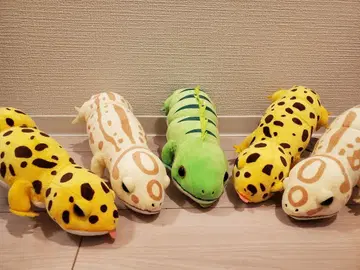 [메루카리 시 한정판] 레오파의 키이쨩 봉제 인형 5개 세트