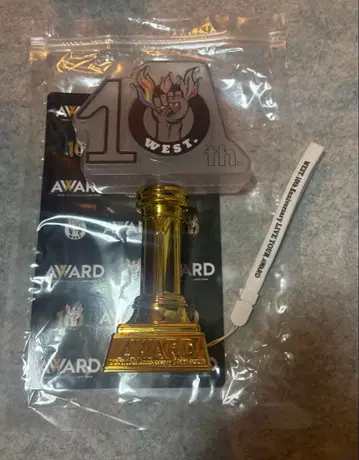 WEST. 10th Anniversary AWARD 응원봉