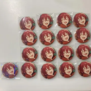 이사라 마오 캔뱃지 17개