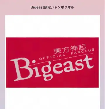 동방신기 공식 팬클럽 비기스트 한정판 점보 타월