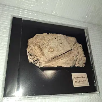 [ 오비 포함 ] 한 마디의 화석 / rebury