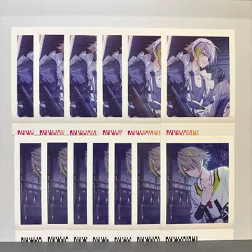 에이트리 파샤코레 화이트 빛 루이