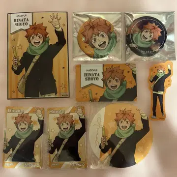 하이큐 코스모 월드 히나타