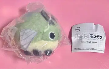 푹신푹신 모스모스 스카시바