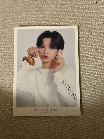 기무라 케이토 BUTTERFLY EFFECT 사인 포함 사진