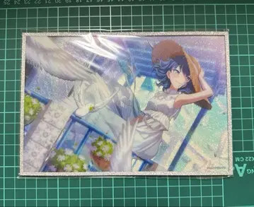 프로세카 하피콜레 아크릴 색지 키리타니 하루카