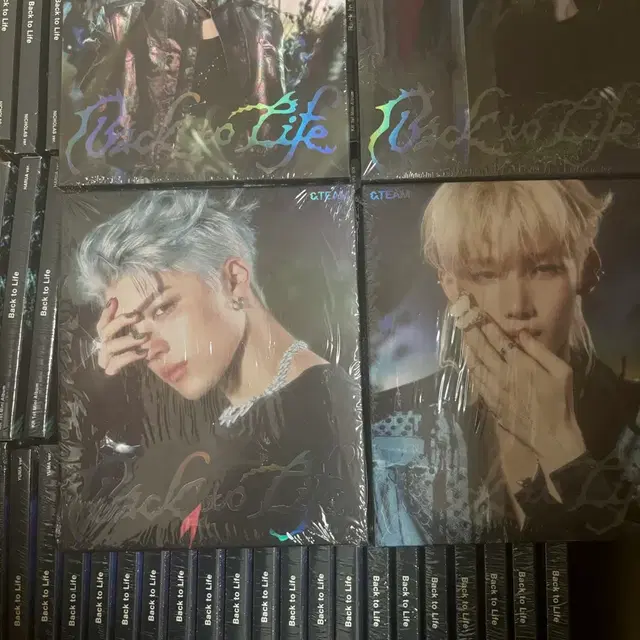 앤팀 백투라이프 back to life roar ver 미개봉 앨범