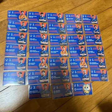 V 파렌 나가사키 온사이트 카드 N 33종 컴프 세트