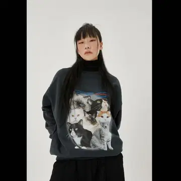 MCNCHIPS Cat squad goals 크루넥 한국 고양이