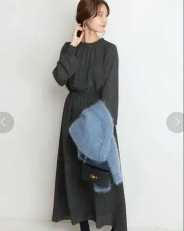 SLOBE IENA 슬로브 이에나 진탕 도트 원피스