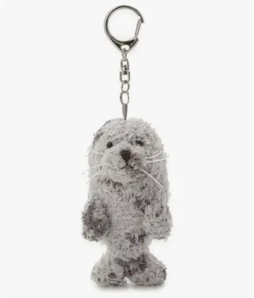 gelato pique 물개 참