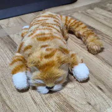 네코타 과장 골골냥코 전동 봉제 인형