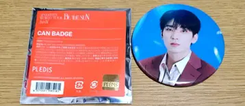 SEVENTEEN be the sun 원우 캔뱃지