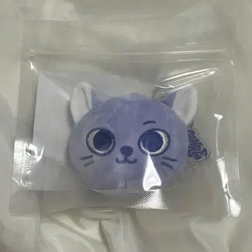 BOYNEXTDOOR 푸네크도 케피 손호 페이스 키링