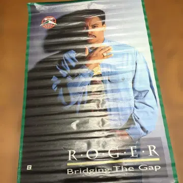 ROGER Bridging The Gap 포스터