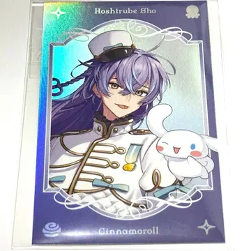 산리오 니지산지 Dytica 사진풍 카드 폴라로이드 호시미치 쇼 레어