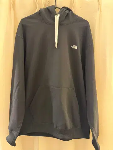 THE NORTH FACE Small Logo Hoodie NT62531