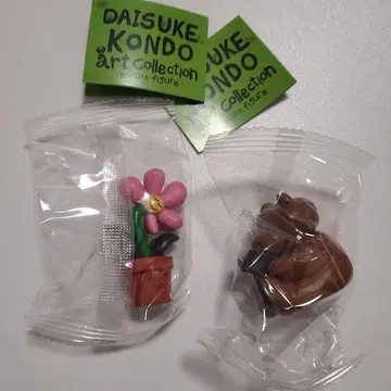 콘도 다이스케 DAISUKEKONDO kuma hana