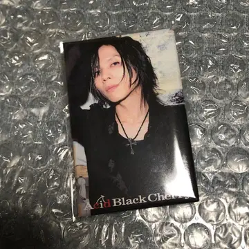 Acid Black Cherry 2009 tour 'Q.E.D.'