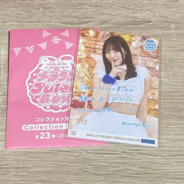 마츠나가 리에 콜렉션 사진