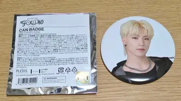 seventeen follow 캔뱃지 디노